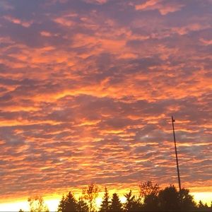 Meet your Posher, Paige